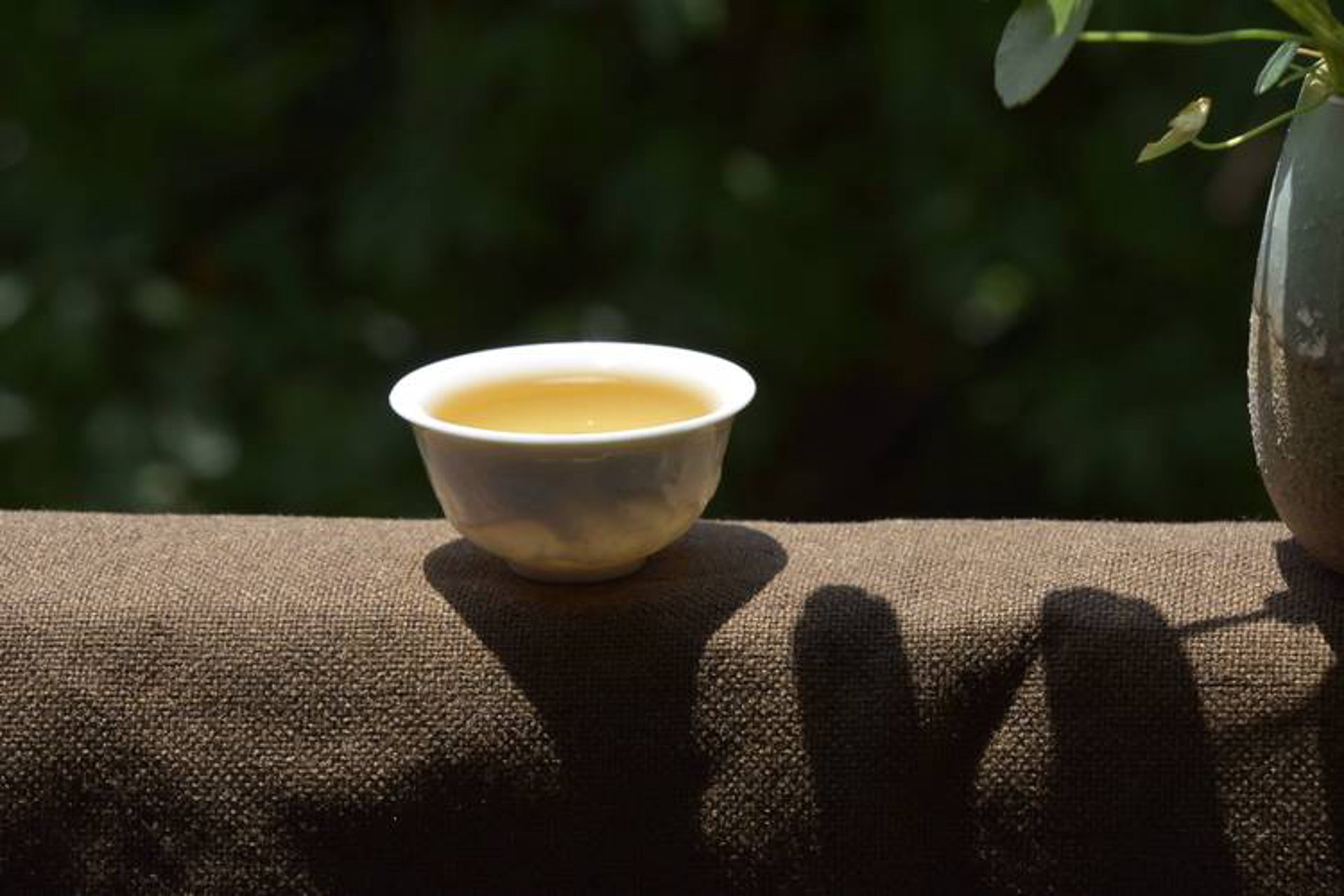 之牌普洱茶